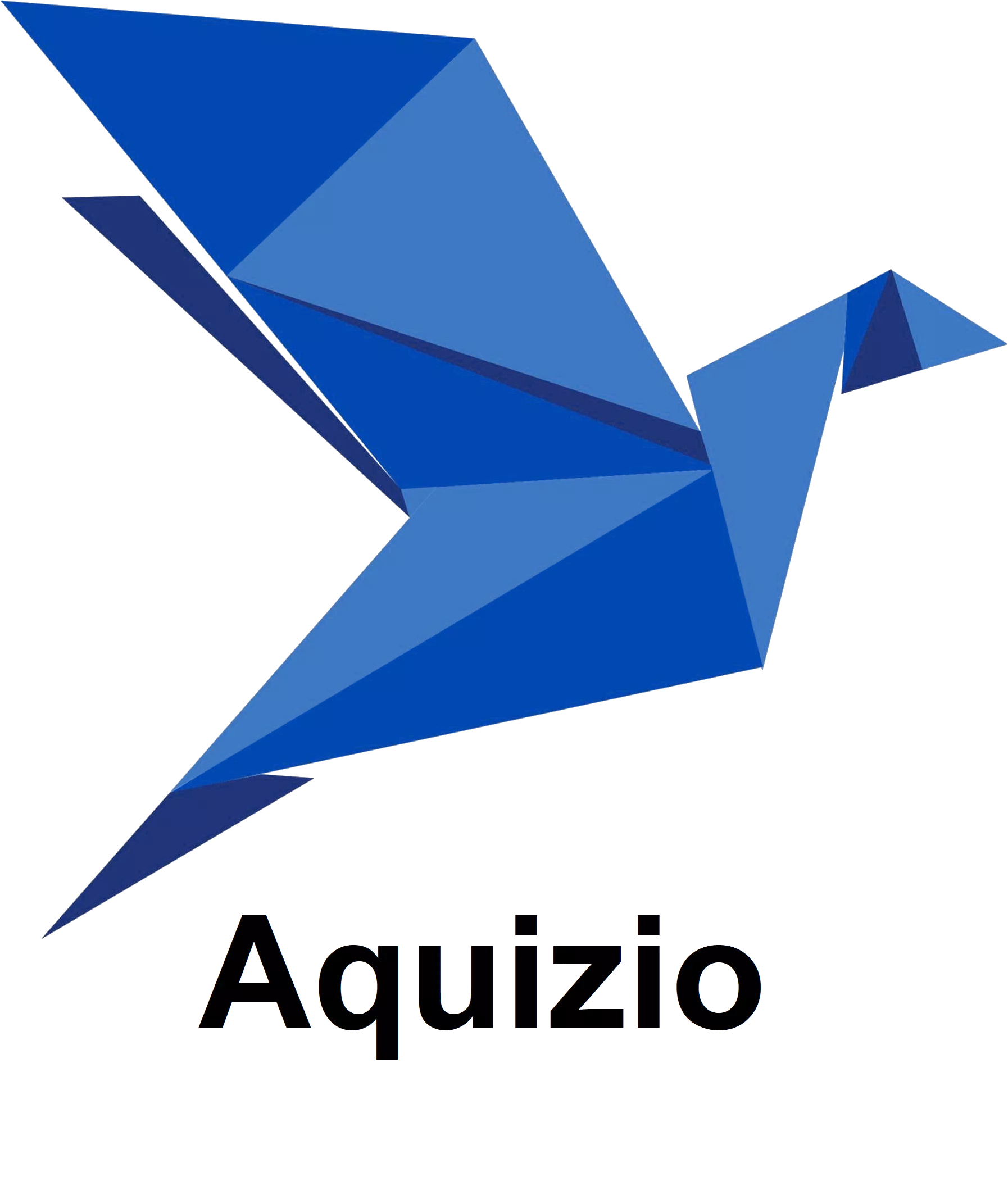 logo-aquizio
